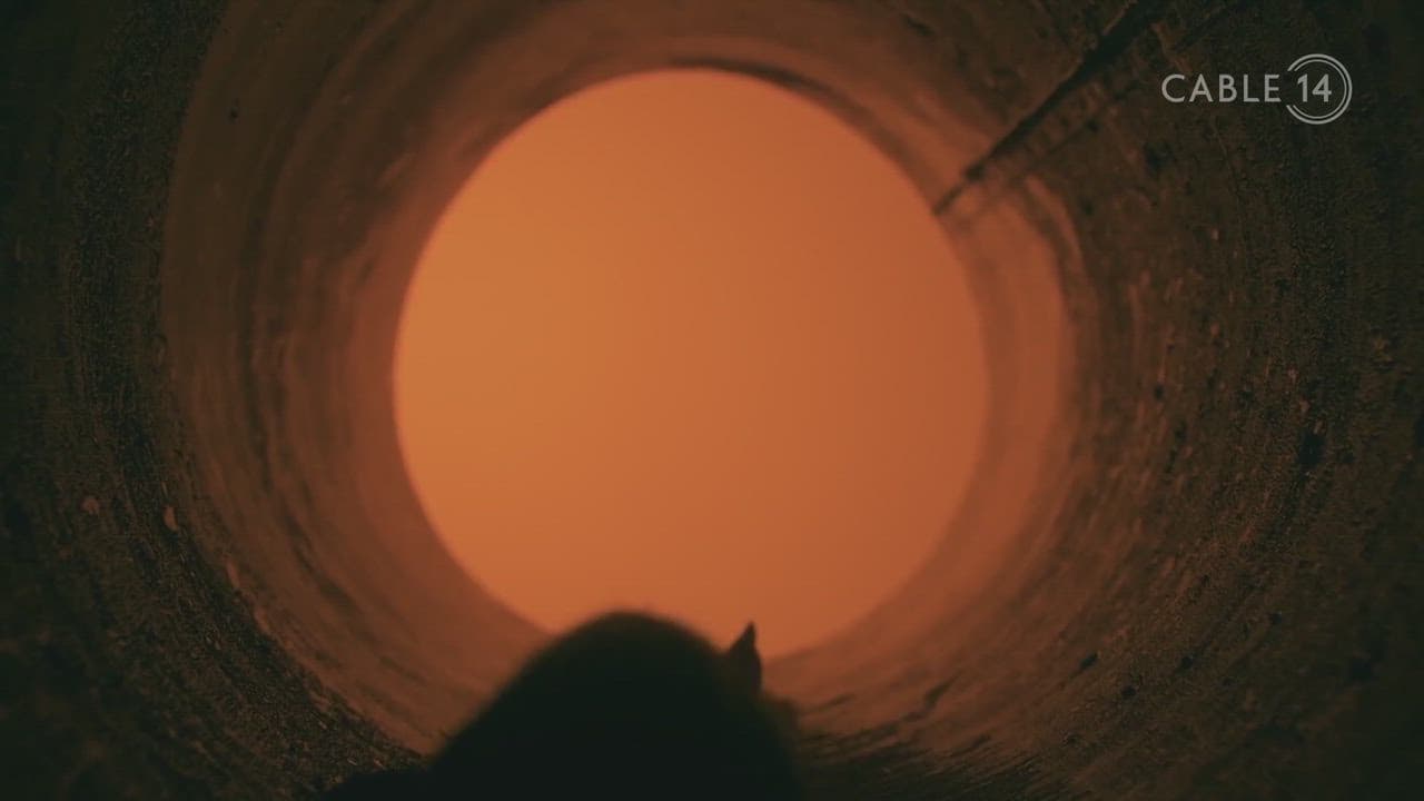 HAMMER D20 - OCTOBER 16 2024