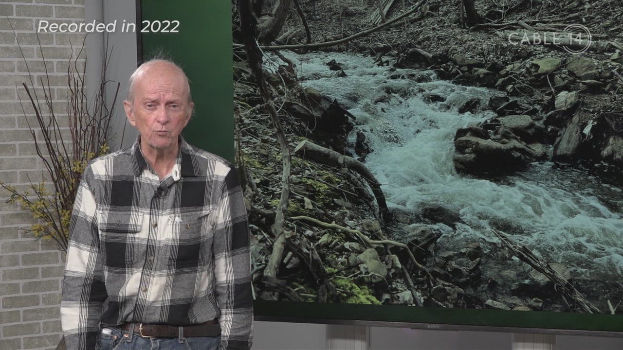 Save Our Streams Hamilton