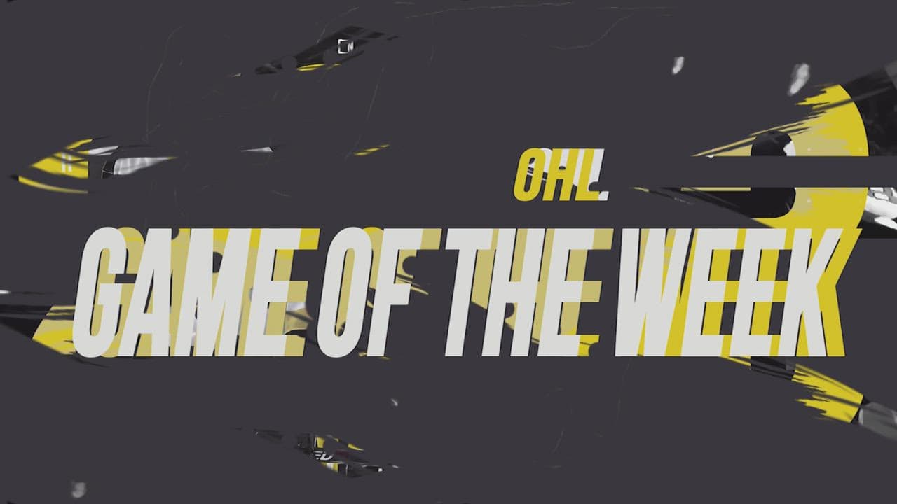 HAMMER D20 - NOVEMBER 6 2024