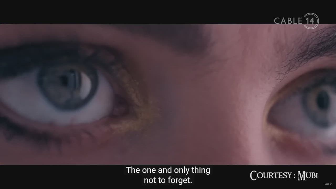 HAMMER D20 - FEBRUARY 5 2025