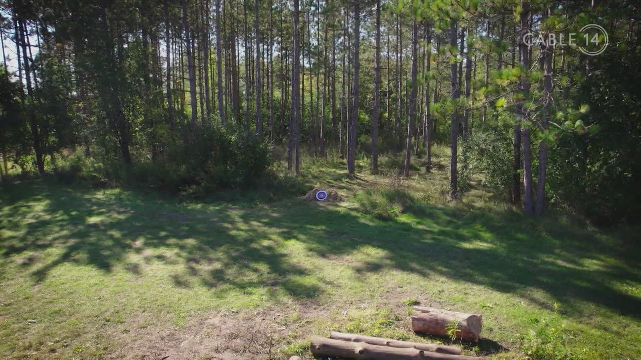 WILD CHILD - DECEMBER 6, 2025